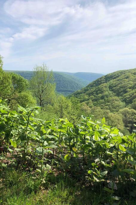 2 Bedroom 2 Bathroom - Blue Knob All Season Resort Condo Claysburg Экстерьер фото
